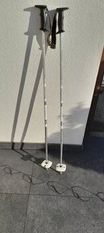 Lyžiarske paličky Bravo