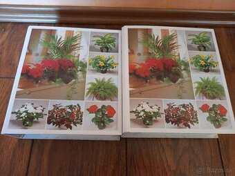 Izbové rastliny od A po Z