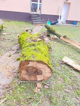 Predám orechové drevo