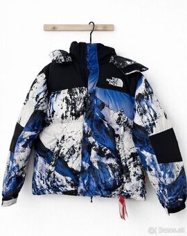 The NorthFace x Supreme Parka Everest 700