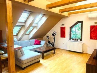 Prenájom pekný 3 izbový byt, Palkovičova ulica, Bratislava I
