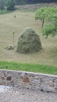 Seno darujeme