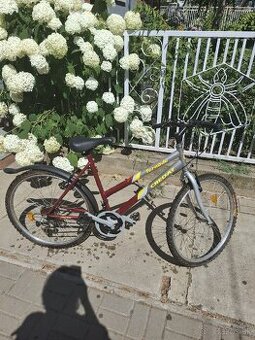Dámsky bicykel( Credat Tornado)