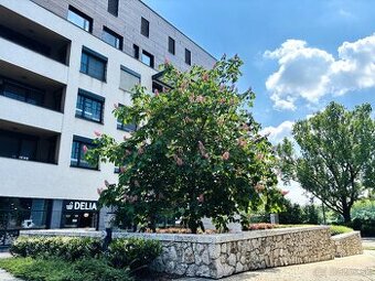 BH REAL ESTATE ponúka na predaj 2-izb.byt v ZUCKERMANDEL