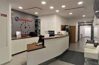 | priestory vhodné na kliniku, kancelárie, terasa garáž, BA