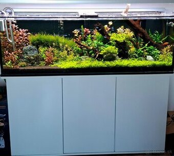 Predam akvarium