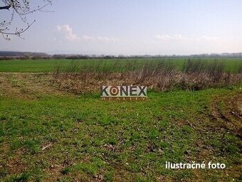 Na predaj lesné pozemky v obci Priekopa, okres Sobrance