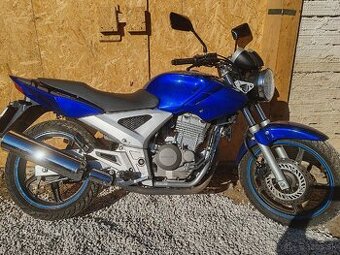 Honda Cbf 250