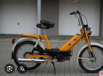 Babeta 207