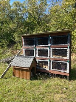 Zajačník