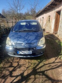 Citren xara Picasso