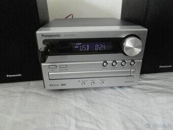 Panasonic