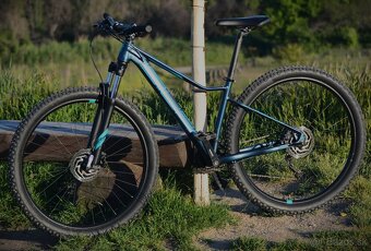 Superior XC (29")