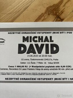 Michal David