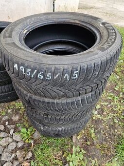 195/65 R15 viac druhov