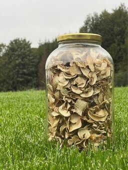 Huby Hríby Praváky výberové