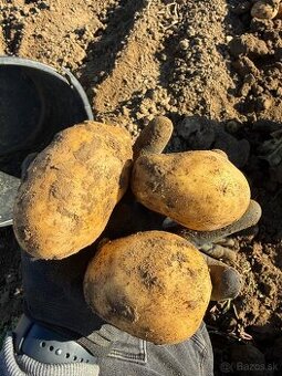 konzumné zemiaky