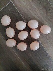Umele Vajíčka - 1