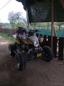 Bashan 200 - 1