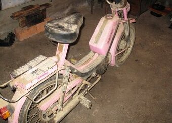 Zaujem o babetu
