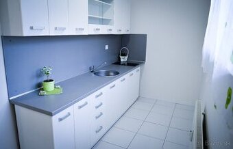 Prenajmem byt v Senici