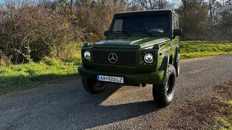 Mercedes g 300d w463