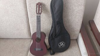 Predam guitale - 1