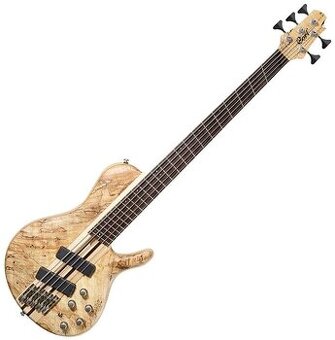 predam multiscale Cort Artisan A5 Plus SCMS OPN
