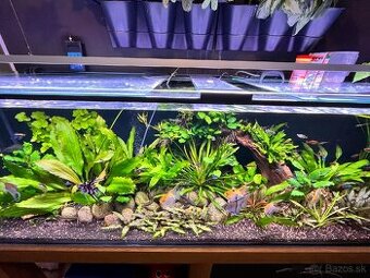 WRGB LED svetlo na akvárium 200cm/180w