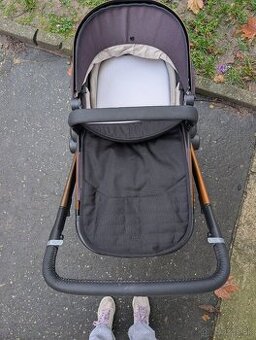 Dvojkočik Joolz day 5