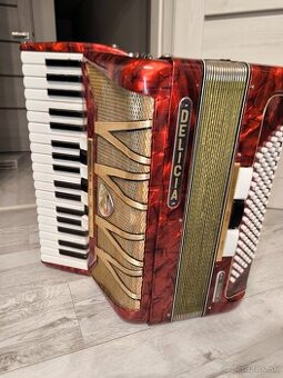 Delicia melodia V /96 basov