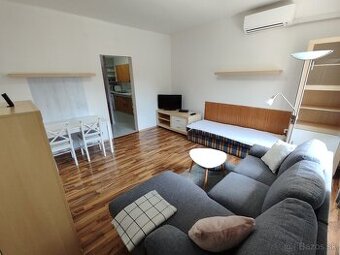 Jednoizbový byt v rodinnom dome v blízkosti centra Piešťan.