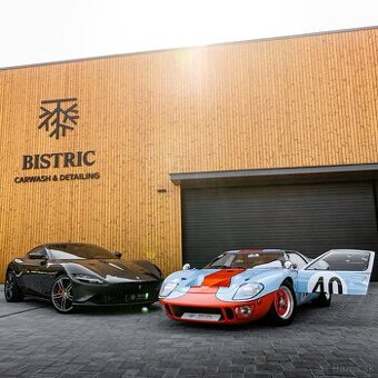 Ford GT40 MK1 - 1