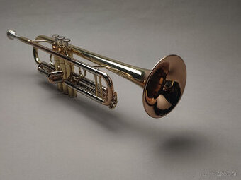 Trúbka Amati ATR 313