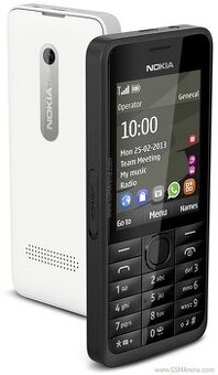 Nokia 301.1, RM-840, 2013, 1-simkovy
