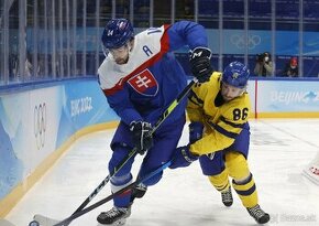 Slovensko Svedsko hokej majstrovstva sveta