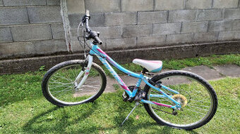 Bicykel
