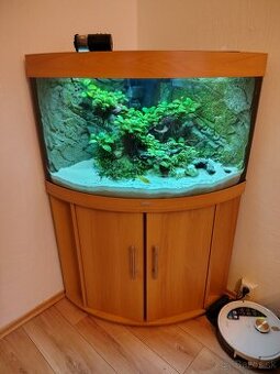 Akvarium - 1