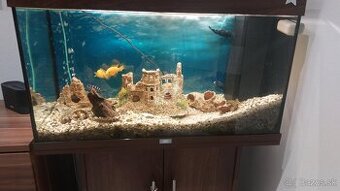 Komplet akvarium