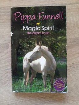 Magic spirit the drem house