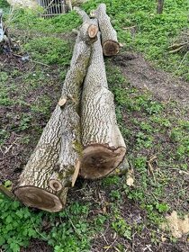 Orechové drevo