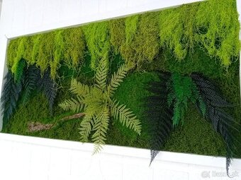 Obraz 120x60cm
