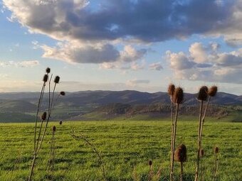 Čukalovce – 3.025 m2 LESY a ORNÁ PÔDA – PREDAJ