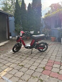 RACCEWAY® E-BABETA