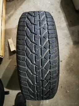 205/55/r16 zimné