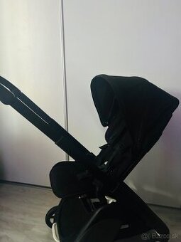 Bugaboo ant