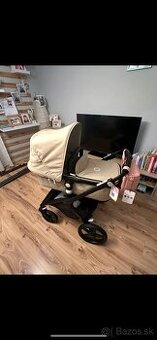 Bugaboo fox cub