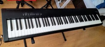 Roland FP30 X BK