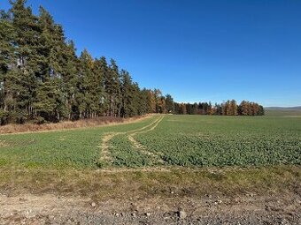 Pozemok pri lese s prístupovou cestou pri Poprade na predaj