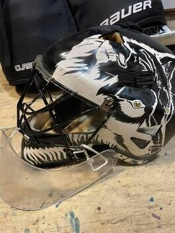 Hokejová brankarska vystroj